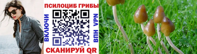 наркота  Кинель  Галлюциногенные грибы прущие грибы 