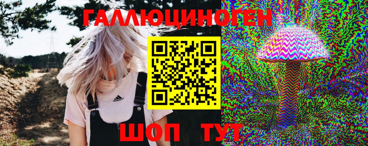Галлюциногенные грибы Cubensis Кинель